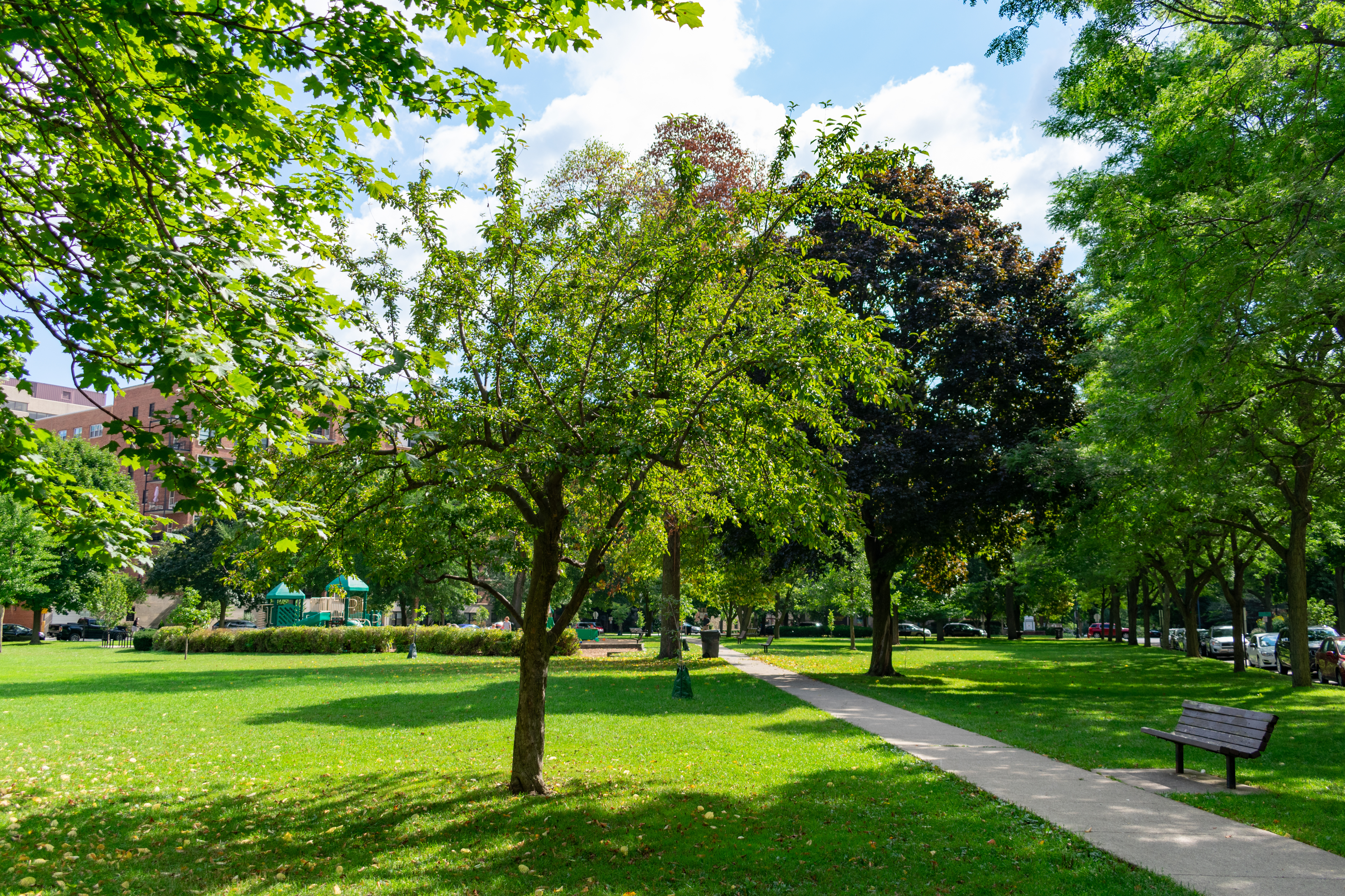 Green Space