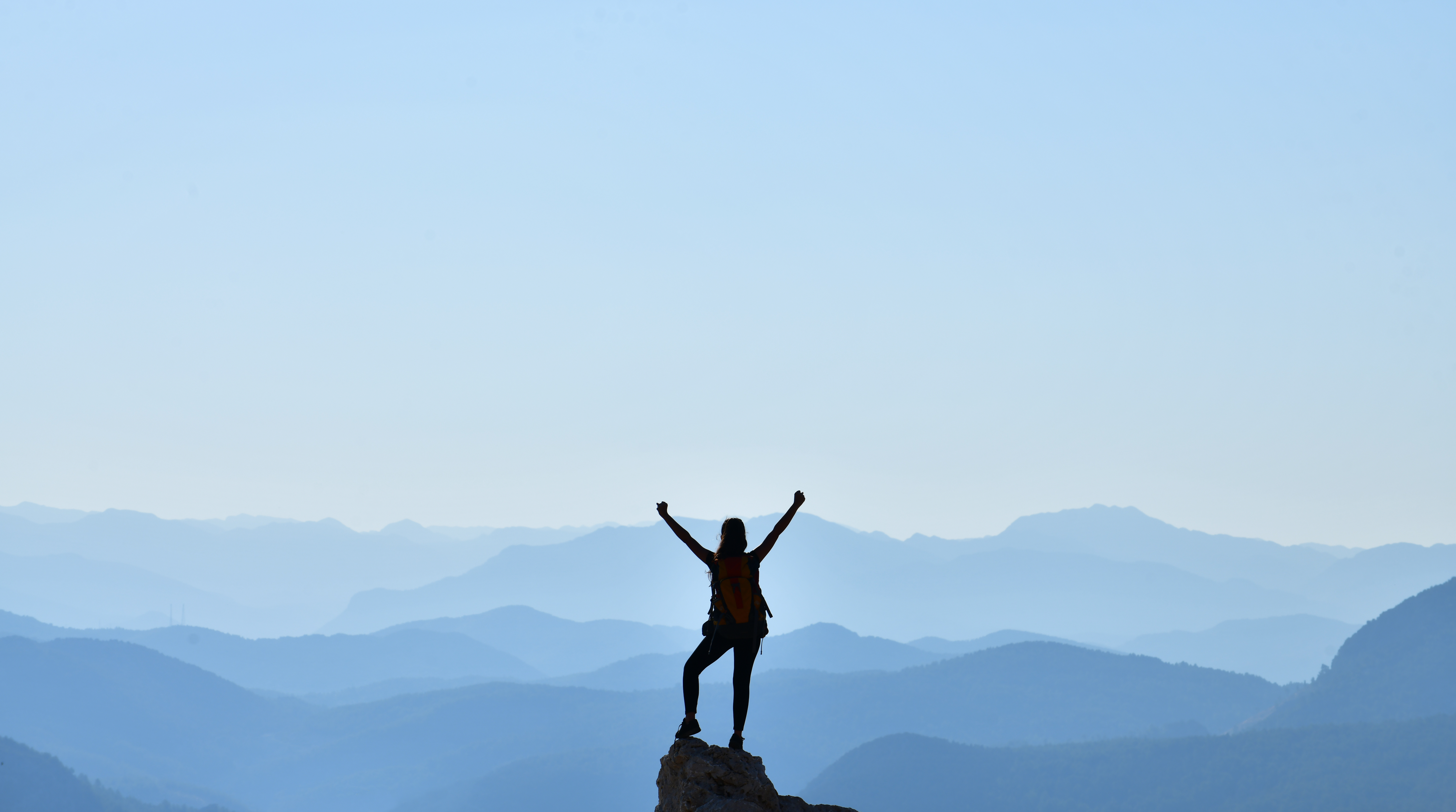 wellbeing champions