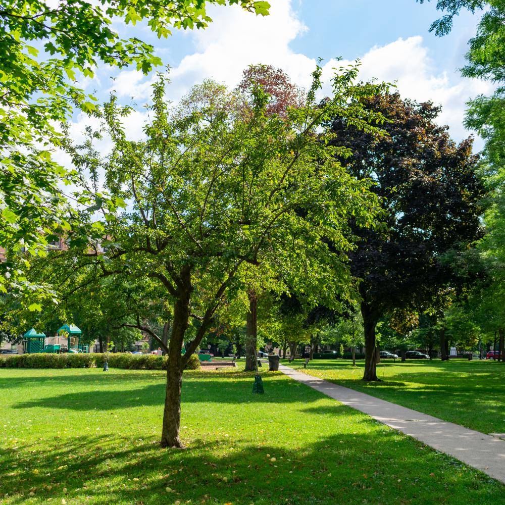 Green Space